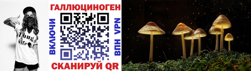 mega рабочий сайт  Трёхгорный  Псилоцибиновые грибы Cubensis 